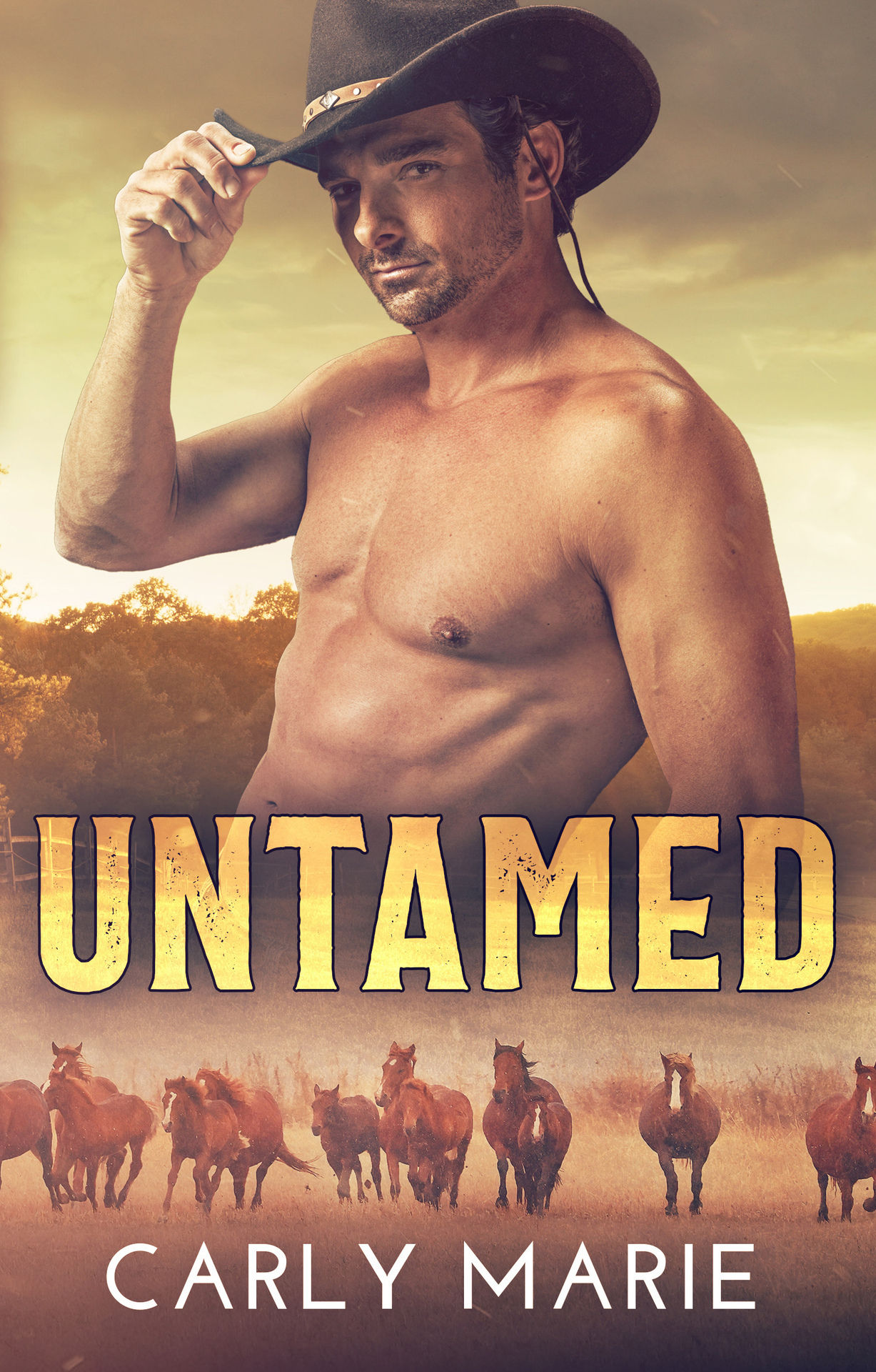 Untamed Book Cover